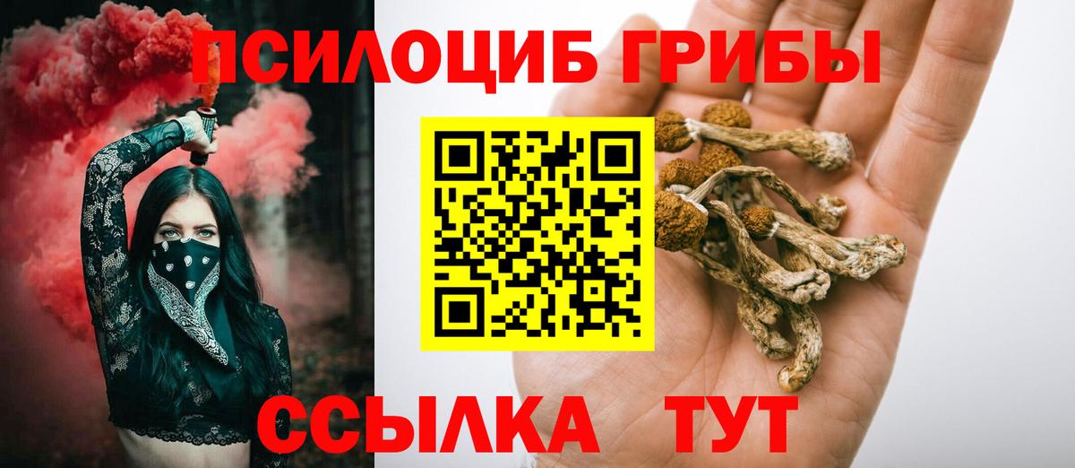 Галлюциногенные грибы Psilocybe Туймазы